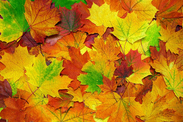 Similar image 21213130