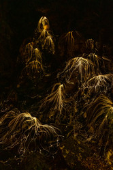 Similar image 21213148