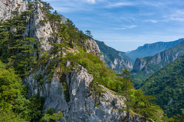 Similar image 21213154