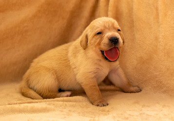 Similar image 21213164