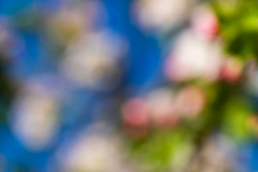 Similar image 21213165