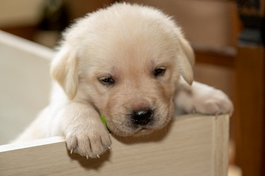 Similar image 21213169