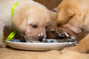 Similar image 21213170