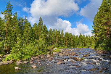 Similar image 21212969