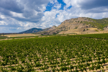 Similar image 21213070