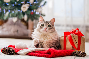 Similar image 21209171