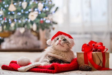 Similar image 21209172