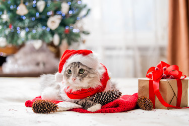 Similar image 21211375