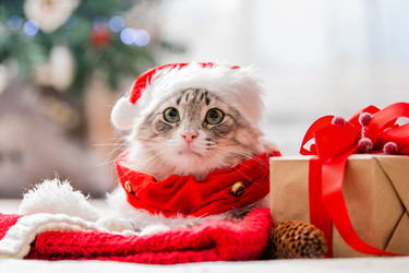 Similar image 21211376