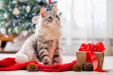 Similar image 21212813