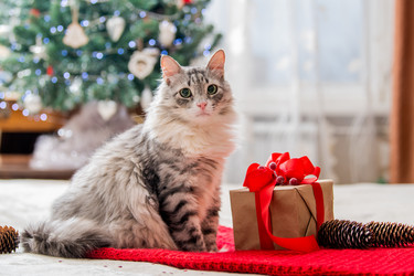 Similar image 21209192