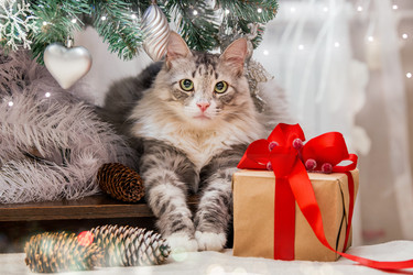 Similar image 21211379