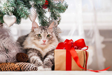 Similar image 21209194