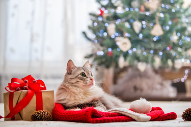 Similar image 21209195