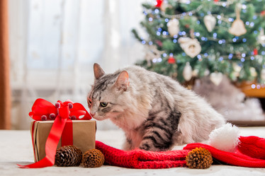 Similar image 21209196