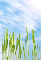 Similar image 21207584