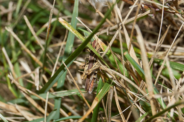 Similar image 21224162