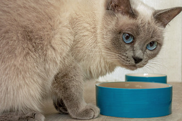 Similar image 21213760