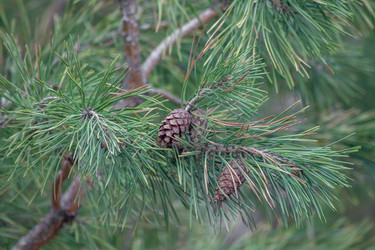 Similar image 21213765