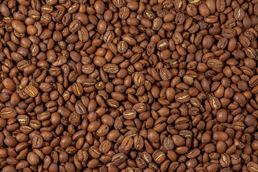 Similar image 21205658