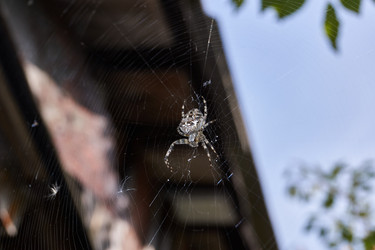 Similar image 21238668