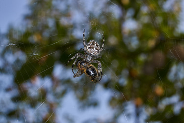 Similar image 21235987