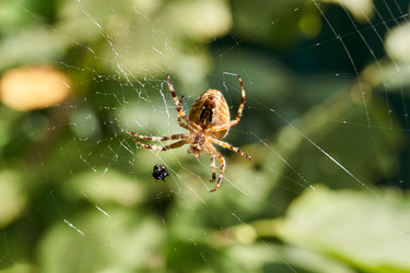 Similar image 21224641