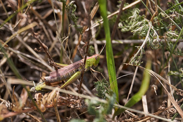 Similar image 21244381