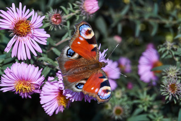 Similar image 21215776