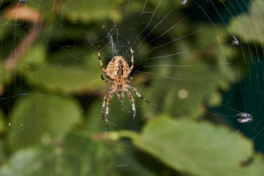 Similar image 21235988