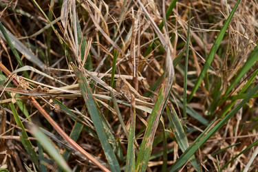 Similar image 21235989