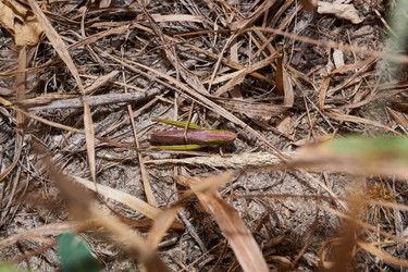 Similar image 21251467