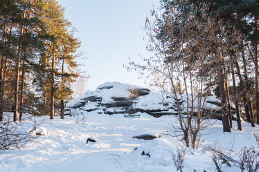 Similar image 21209975