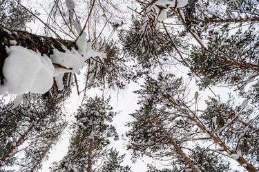 Similar image 21209977