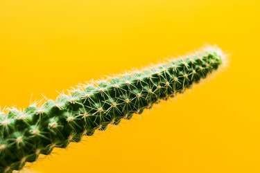 Similar image 21209982