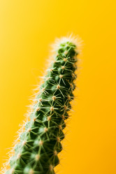 Similar image 21209983