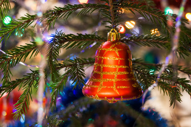 Similar image 21209989