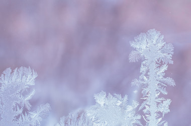 Similar image 21209995