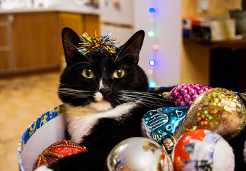 Similar image 21209996