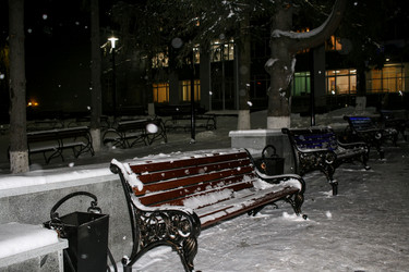 Similar image 21210001