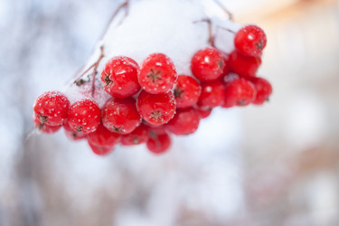 Similar image 21210003