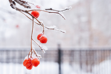 Similar image 21210007