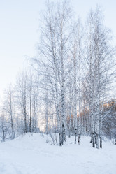 Similar image 21210008