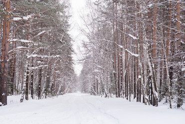 Similar image 21210584