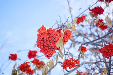 Similar image 21210588