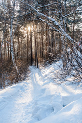 Similar image 21210013