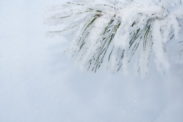 Similar image 21210018