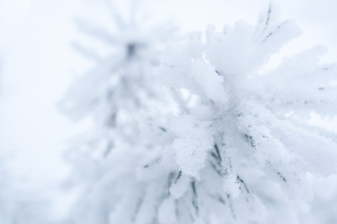 Similar image 21210019