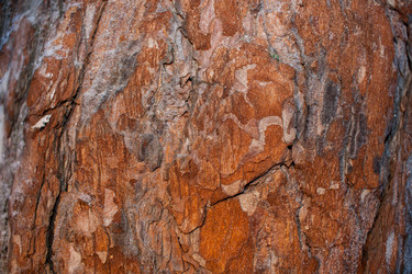 Similar image 21210020