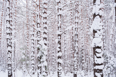 Similar image 21210021